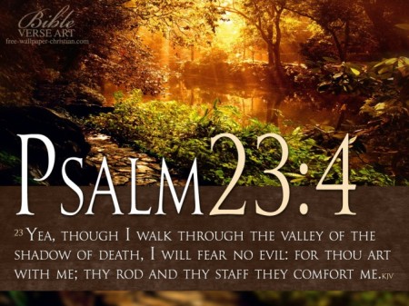 Psalm 23 4 Photo Bible Verse 678x509 450x337 WHAT A SHEPHERD AND THE SHEEP