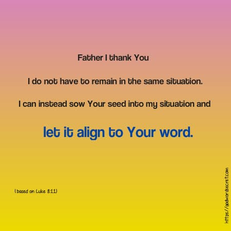 Morning prayer: Father today I sow Your word into my situation