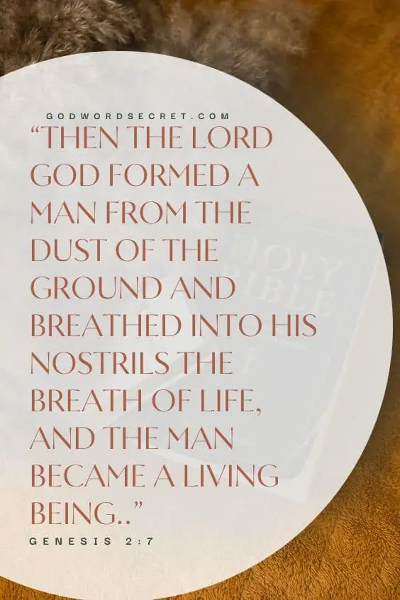 Then the Lord God formed a man[a] from the dust of the ground and breathed into his nostrils the breath of life, and the man became a living being