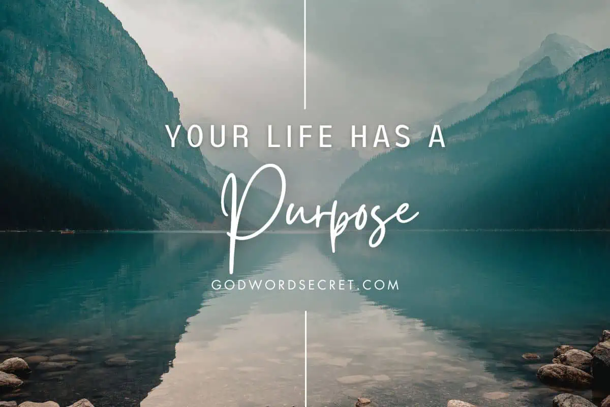 Your Life Has A Purpose