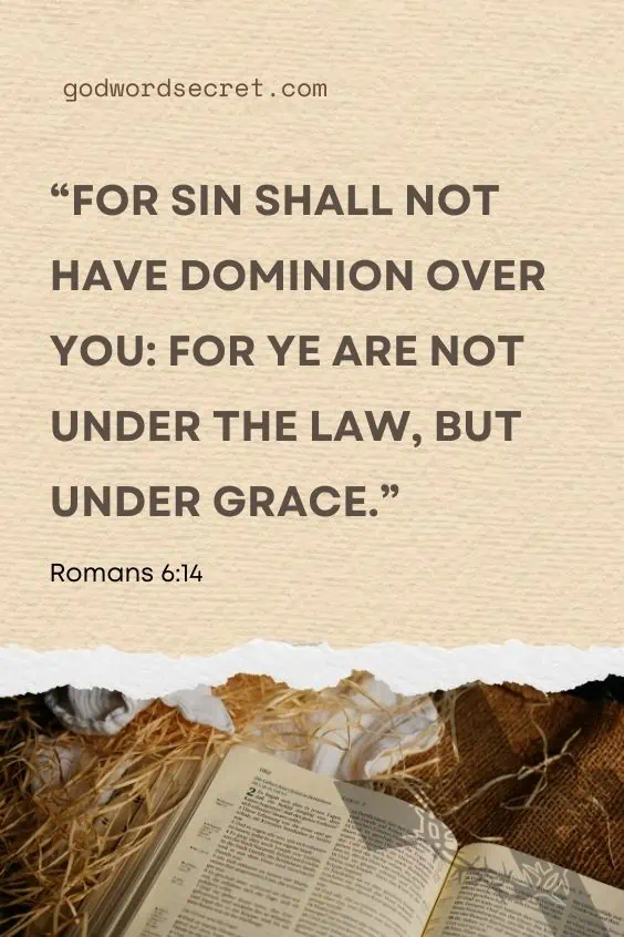 For sin shall not have dominion over you: for ye are not under the law, but under grace.