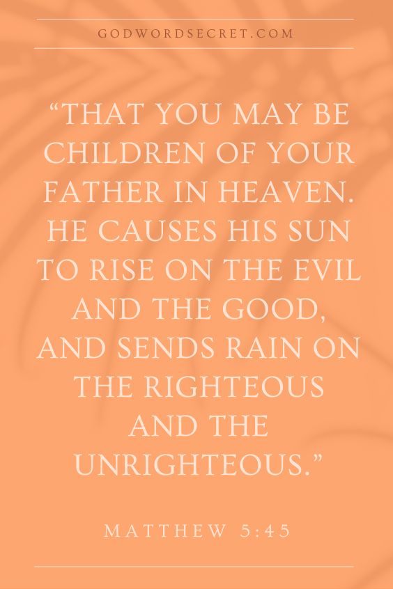 that you may be children of your Father in heaven. He causes his sun to rise on the evil and the good, and sends rain on the righteous and the unrighteous.