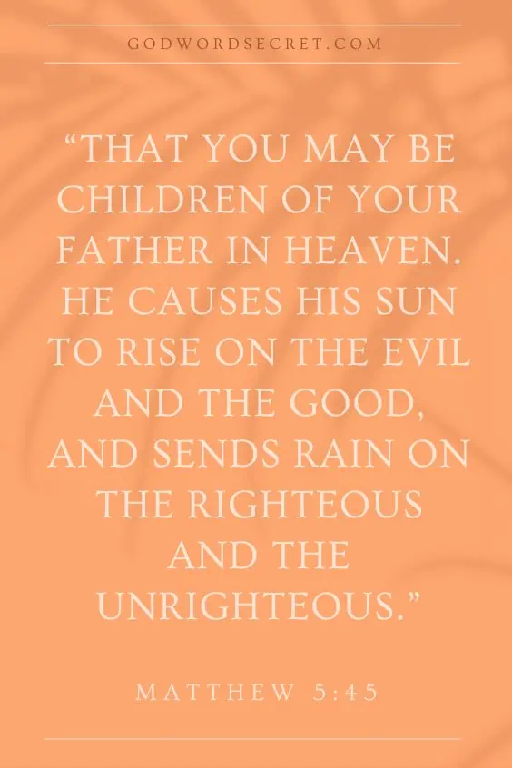 that you may be children of your Father in heaven. He causes his sun to rise on the evil and the good, and sends rain on the righteous and the unrighteous.