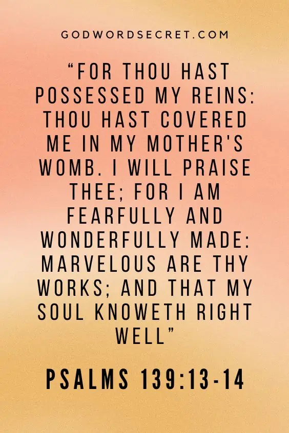 For thou hast possessed my reins: thou hast covered me in my mother's womb. I will praise thee; for I am fearfully and wonderfully made: marvelous are thy works; and that my soul knoweth right well
