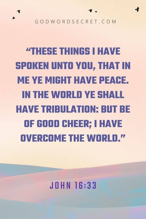 These things I have spoken unto you, that in me ye might have peace. In the world ye shall have tribulation: but be of good cheer; I have overcome the world