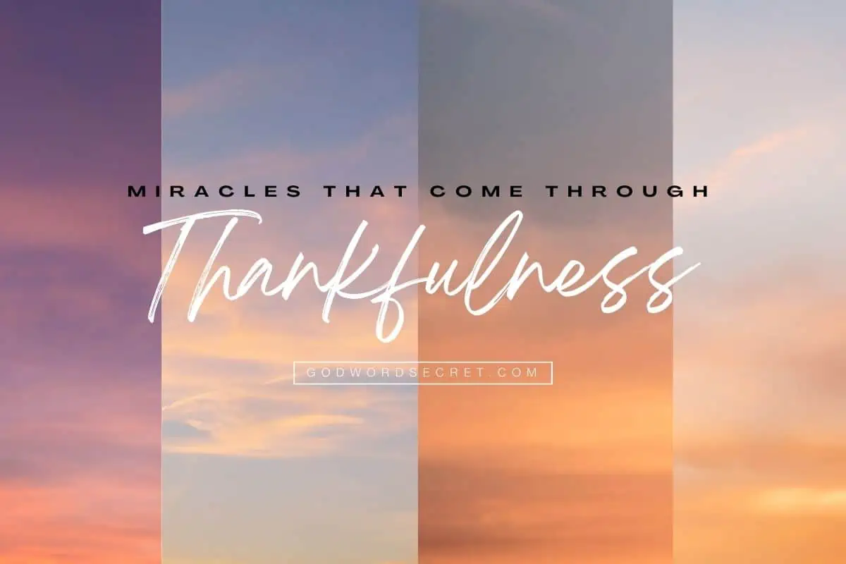 Miracles That Come Through Thankfulness
