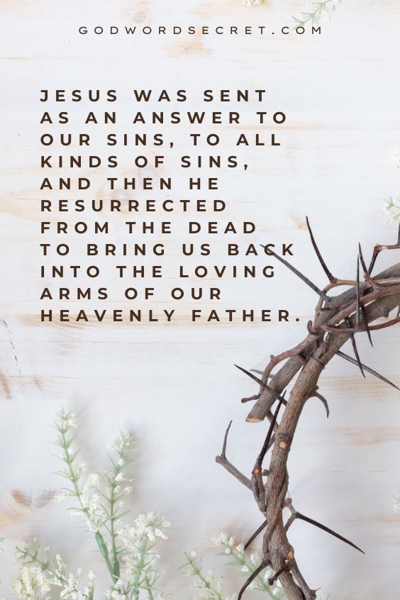 Jesus was sent as an answer to our sins, to all kinds of sins, and then He resurrected from the dead to bring us back into the loving arms of our Heavenly Father.