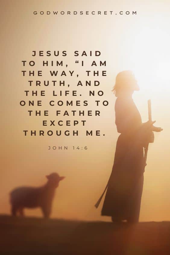  Jesus said to him, “I am the way, the truth, and the life. No one comes to the Father except through Me.