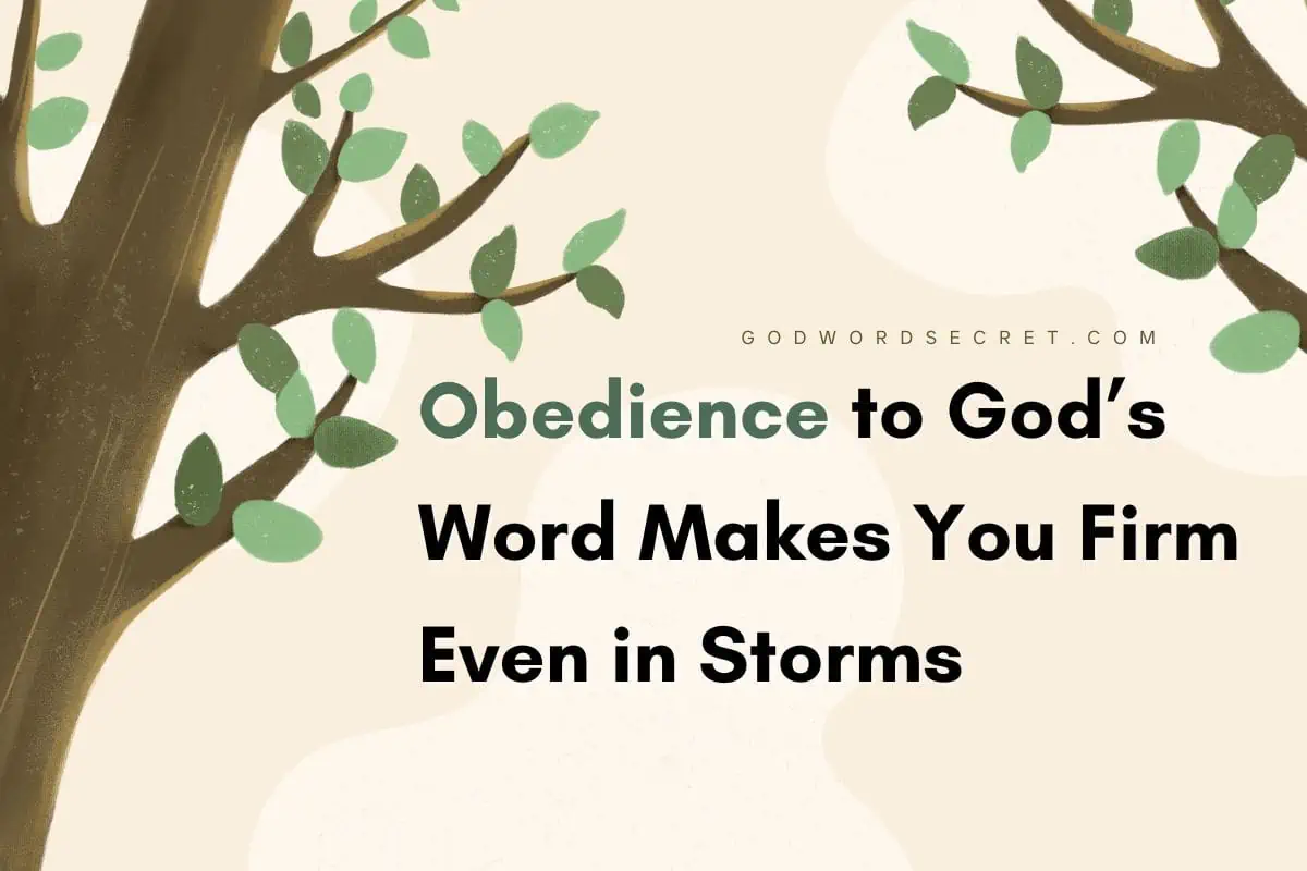 Obedience To God’s Word Makes You Firm Even In Storms