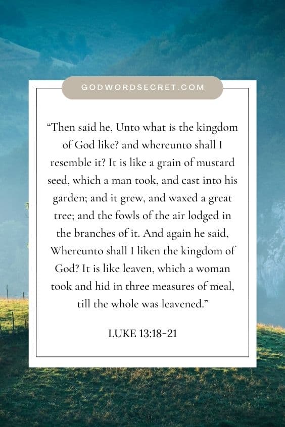 The Mustard Seed and the Leaven
