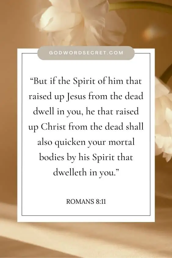  But if the Spirit of him that raised up Jesus from the dead dwell in you, he that raised up Christ from the dead shall also quicken your mortal bodies by his Spirit that dwelleth in you.