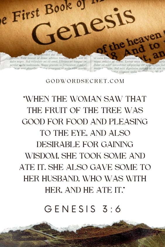  When the woman saw that the fruit of the tree was good for food and pleasing to the eye, and also desirable for gaining wisdom, she took some and ate it. She also gave some to her husband, who was with her, and he ate it