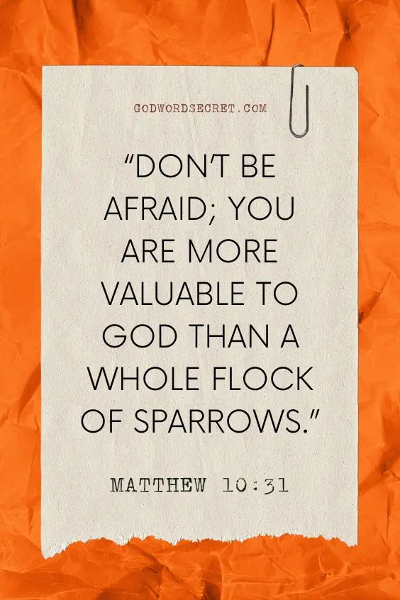 don’t be afraid; you are more valuable to God than a whole flock of sparrows