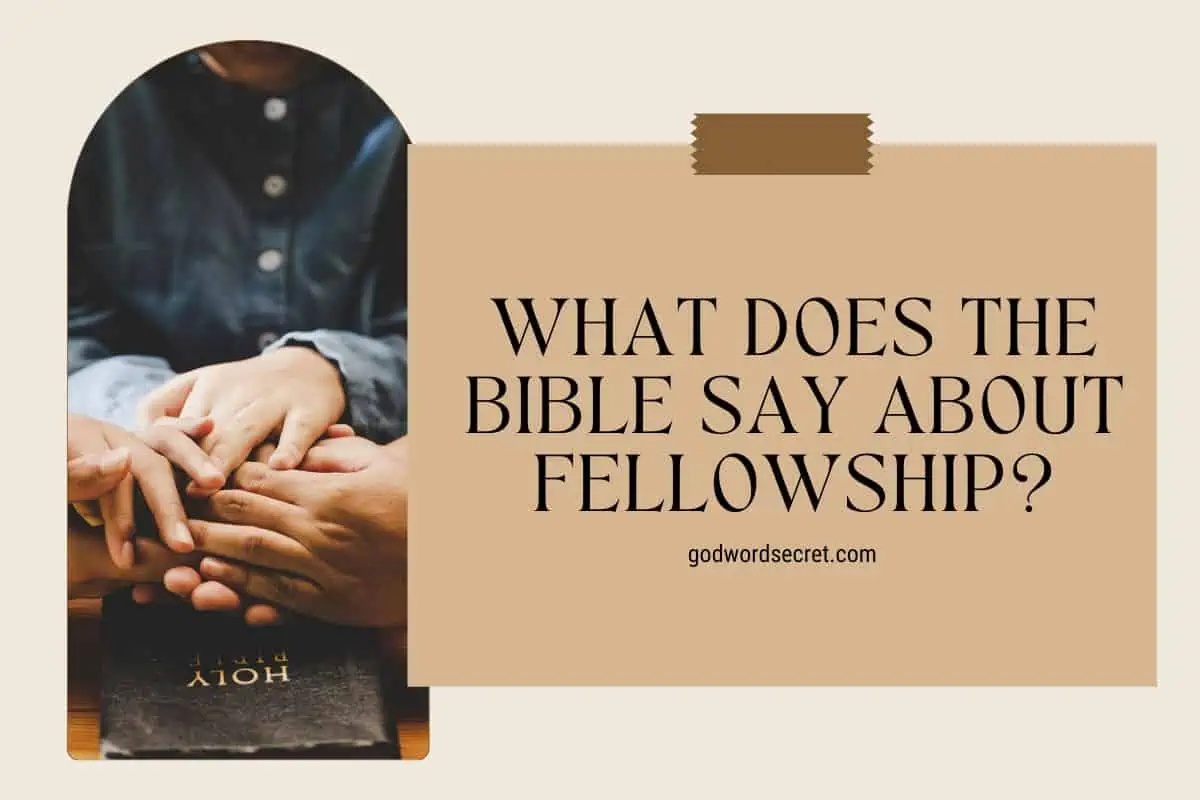 What Does The Bible Say About Fellowship?