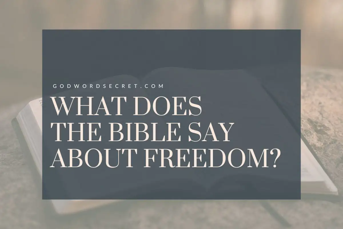 What Does The Bible Say About Freedom?