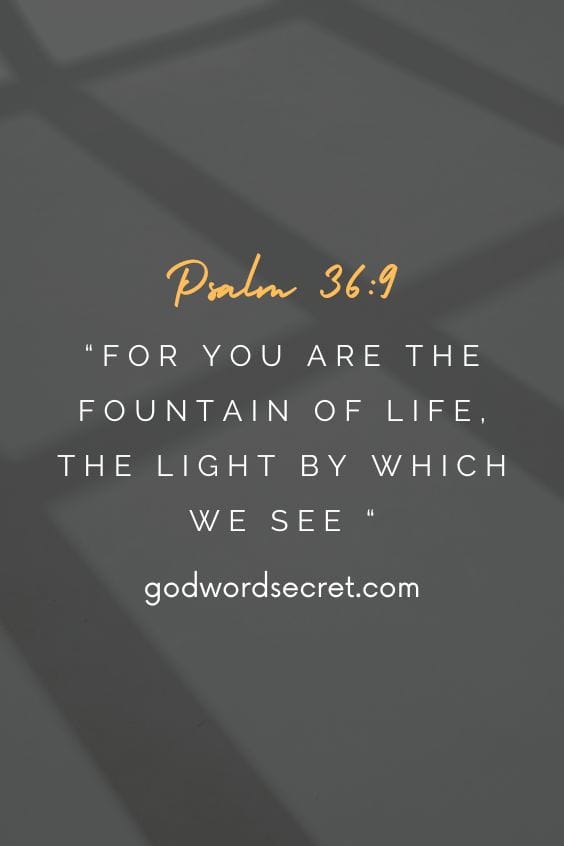 What is the Focus of Your Eyes?