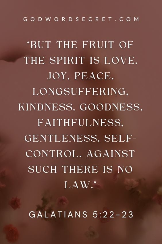 Galatians 5:22-23 2 But the fruit of the Spirit is love, joy, peace, longsuffering, kindness, goodness, faithfulness, 23 gentleness, self-control. Against such there is no law.