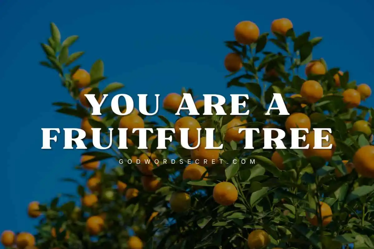 You Are A Fruitful Tree