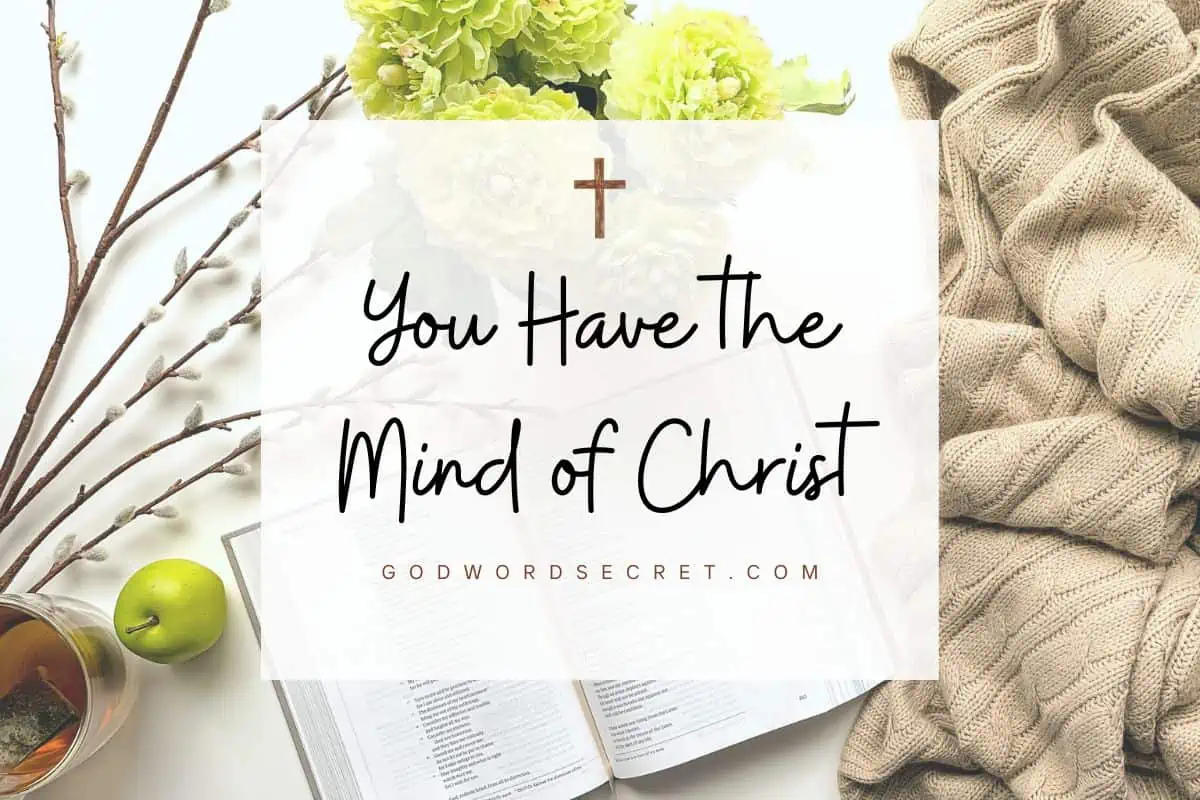 You Have The Mind Of Christ