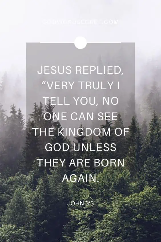 Very truly I tell you, no one can see the kingdom of God unless they are born again.