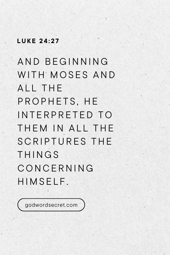 How Did Jesus Deal with Disappointment?