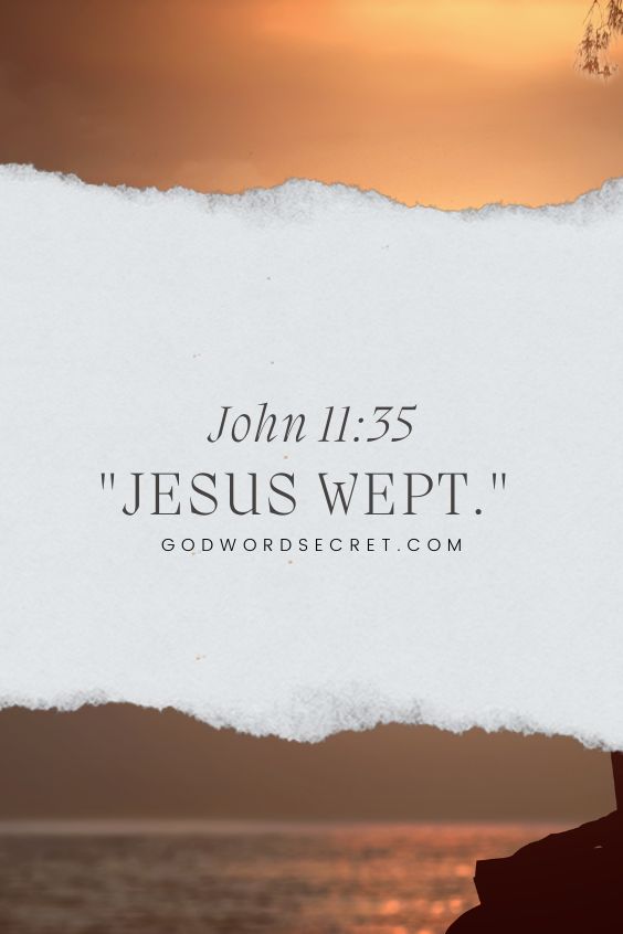 John 11:35 Jesus wept.
