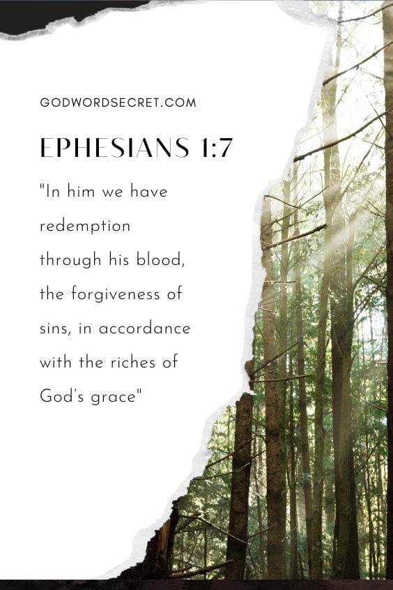 In him we have redemption through his blood, the forgiveness of sins, in accordance with the riches of God’s grace