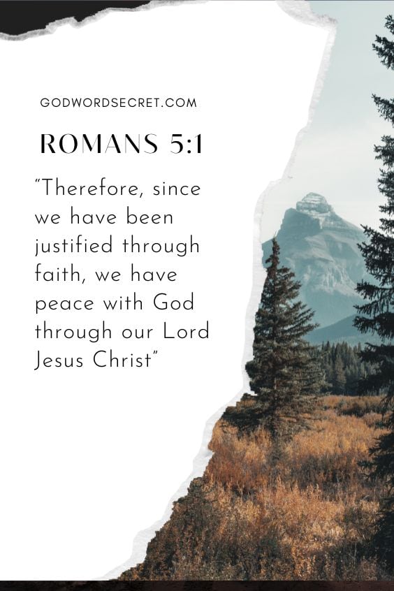 Therefore, since we have been justified through faith, we[a] have peace with God through our Lord Jesus Christ,