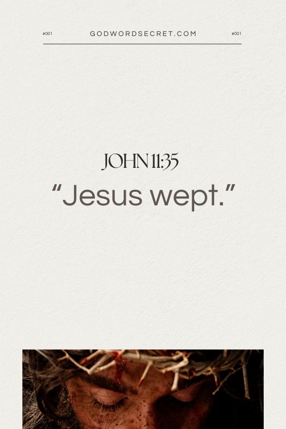 Jesus wept.