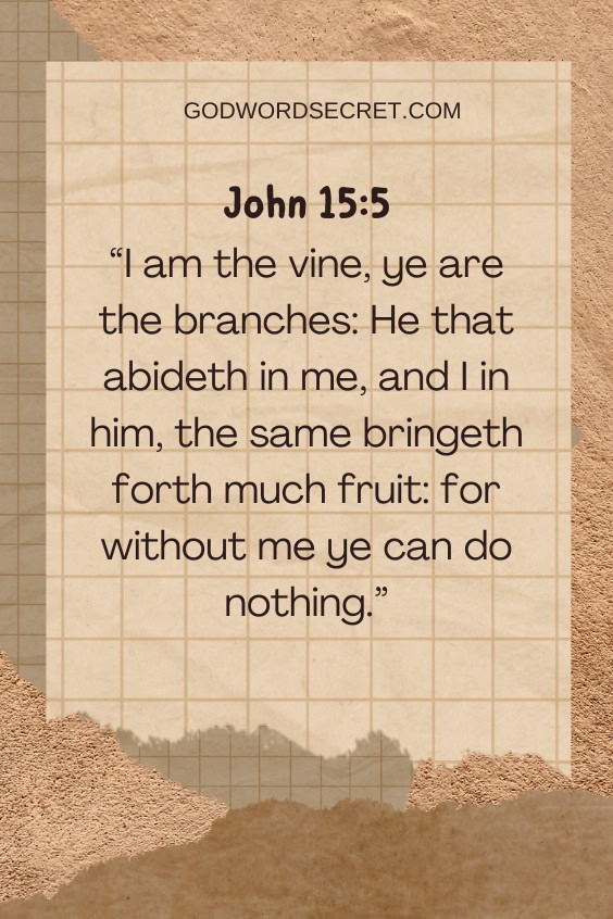 I am the vine, ye are the branches: He that abideth in me, and I in him, the same bringeth forth much fruit: for without me ye can do nothing