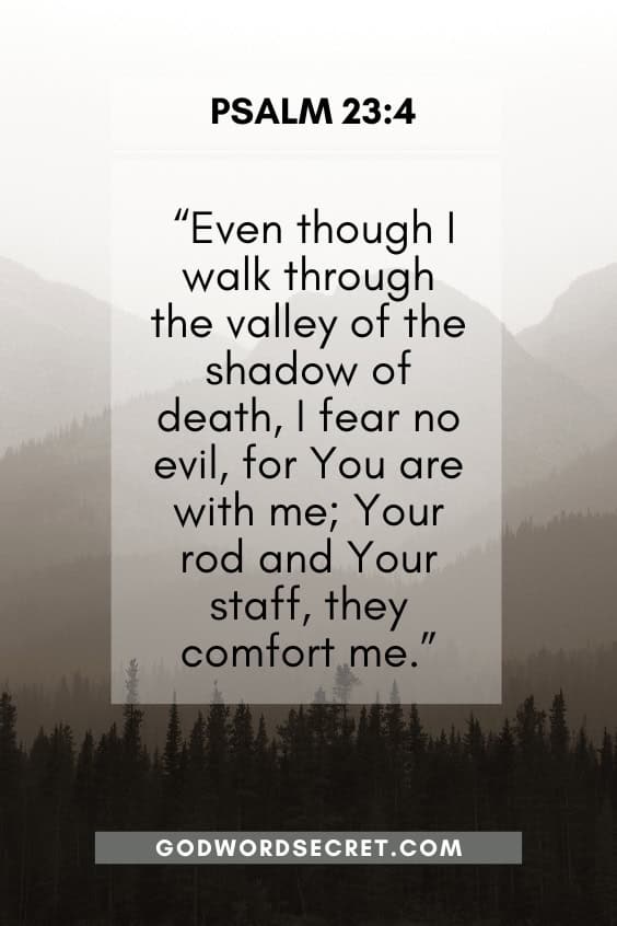 What Does Jesus Say About Fear?
