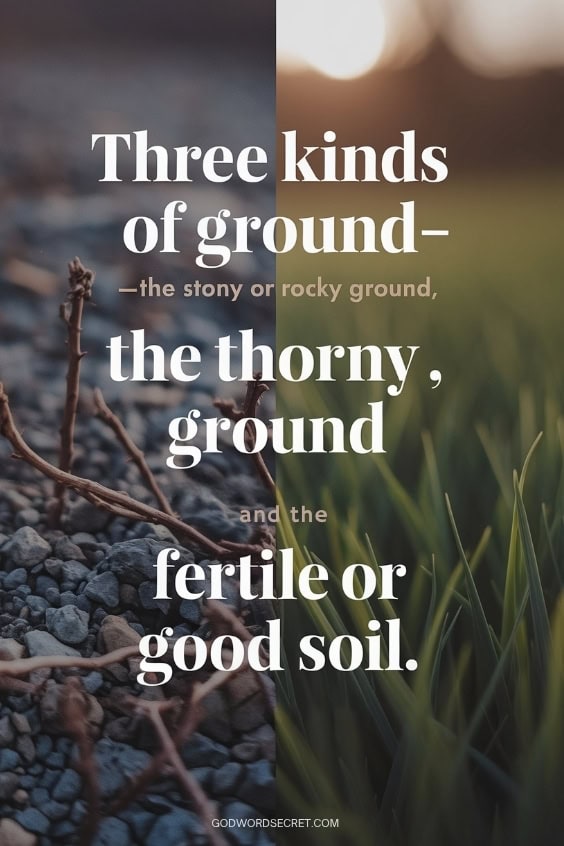 Three Types of Christians Revealed in Parable of the Sower