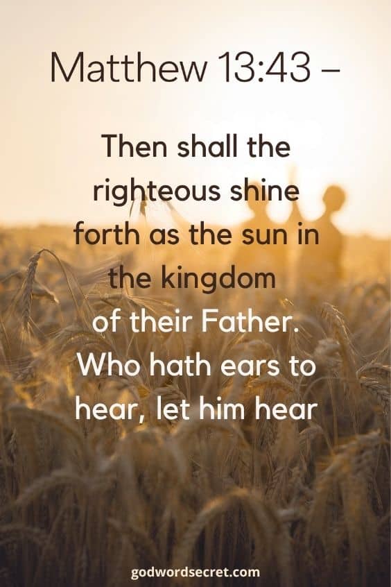 Matthew 13:43 Then shall the righteous shine forth as the sun in the kingdom of their Father. Who hath ears to hear, let him hear