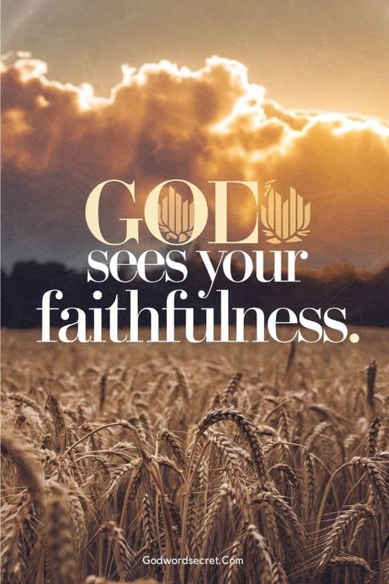 What the Parable of the Weeds Teaches Us about Our Relationship with God